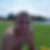 Profilbild von Andreas Fischer
