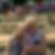 Profilbild von Birgit Schiller
