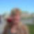 Profilbild von Dagmar Wichmann