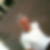 Profilbild von Olaf Kennin