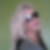 Profilbild von Daniela Metelski