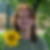 Profilbild von Angela Niemann