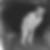 Profilbild von Dennis Petereit