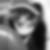 Profilbild von Patricia Grain