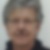 Profilbild von Wolfgang Pröckl