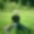 Profilbild von Florian Gabler