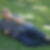 Profilbild von Juan Vergara