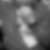 Profilbild von Halit Yalcin