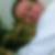 Profilbild von Franz Wichert