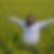 Profilbild von Kirsten Brandt