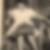 Profilbild von Helga Szachowal