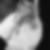 Profilbild von Carmen Dobner