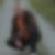 Profilbild von Rico Scarano