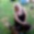Profilbild von Melanie Speckmann