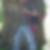 Profilbild von Frank Otto