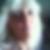 Profilbild von Manuela Backhaus