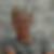 Profilbild von Anne Konrad