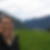 Profilbild von Michaela Schmid