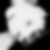 Profilbild von Annett Otto