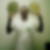 Profilbild von Bodo Sibila