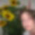Profilbild von Sylvia Krienke