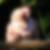 Profilbild von Patrick Reuss