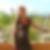 Profilbild von Annika Banze
