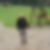 Profilbild von Frank Matheis