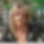 Profilbild von Anne-Kathrin Pitschmann