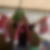 Profilbild von David Falke