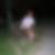 Profilbild von Thorsten Hoidis