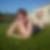 Profilbild von Nicole Obholzer