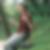 Profilbild von Karen Sehn