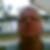 Profilbild von Maik Bartolitius