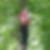 Profilbild von Manuela Homann