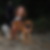 Profilbild von Sabine Knott