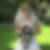 Profilbild von Daniela Schaller