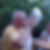Profilbild von Peter Serrer