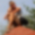 Profilbild von Anke Seregely