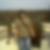 Profilbild von Nancy Franze