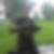 Profilbild von Stefan Sellner