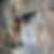 Profilbild von Torsten Schappert