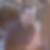 Profilbild von Thomas Stephan
