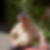 Profilbild von Christoph Bruns