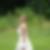 Profilbild von Jasmin Wendel