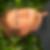 Profilbild von Dieter Simmat
