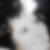 Profilbild von Sylvia Petereit
