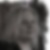 Profilbild von Chrissy Kopplow