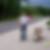 Profilbild von Stefan Wiese
