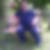 Profilbild von Walter Schrumpf
